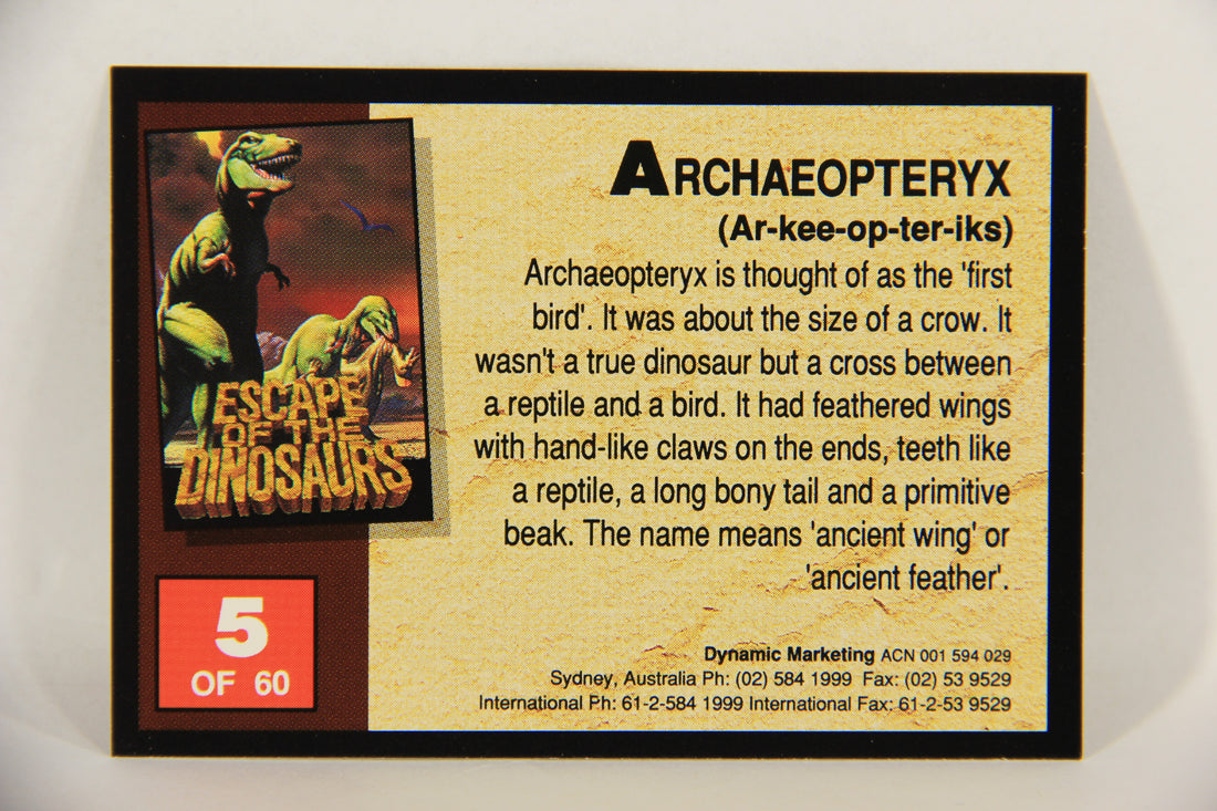 Escape Of The Dinosaurs 1993 Trading Card #5 Archaeopteryx ENG L017690