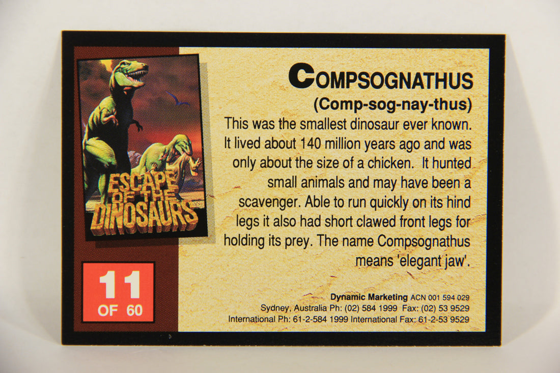 Escape Of The Dinosaurs 1993 Trading Card #11 Compsognathus ENG L017696