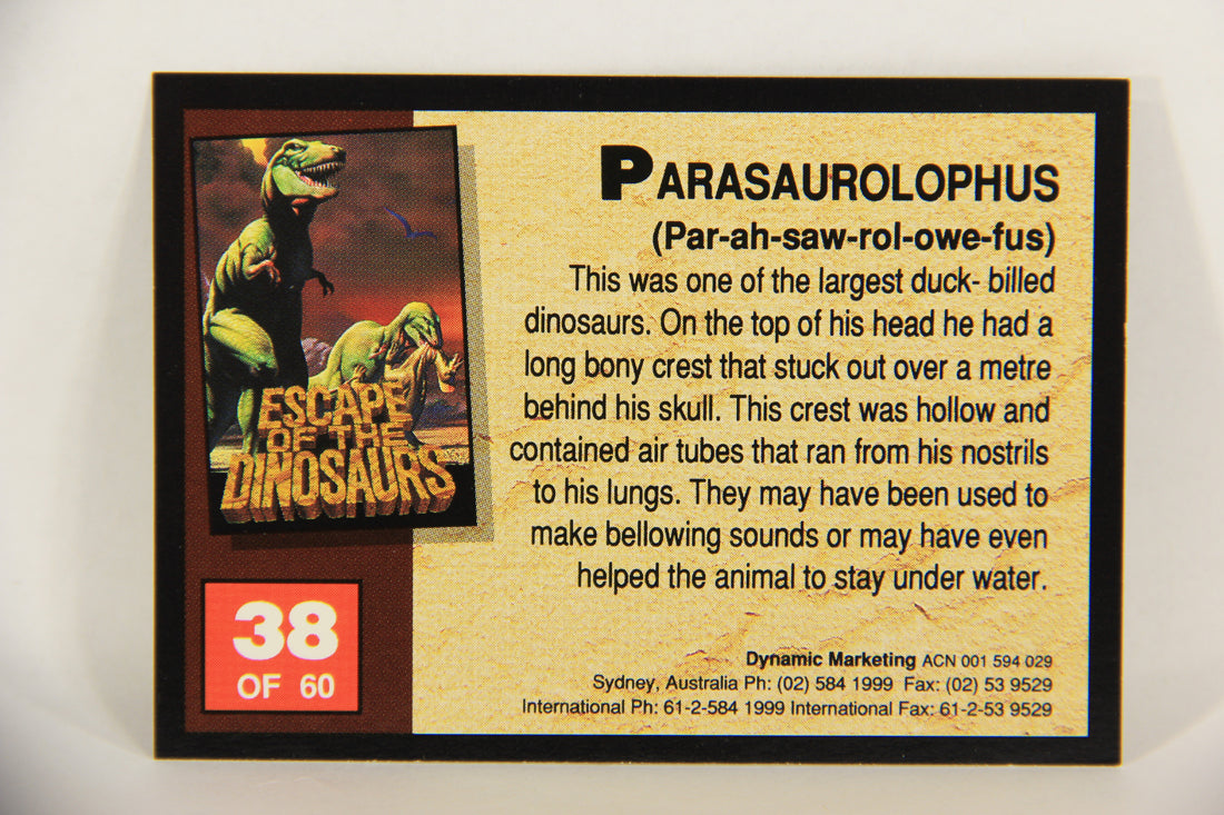 Escape Of The Dinosaurs 1993 Trading Card #38 Parasaurolophus ENG L017723