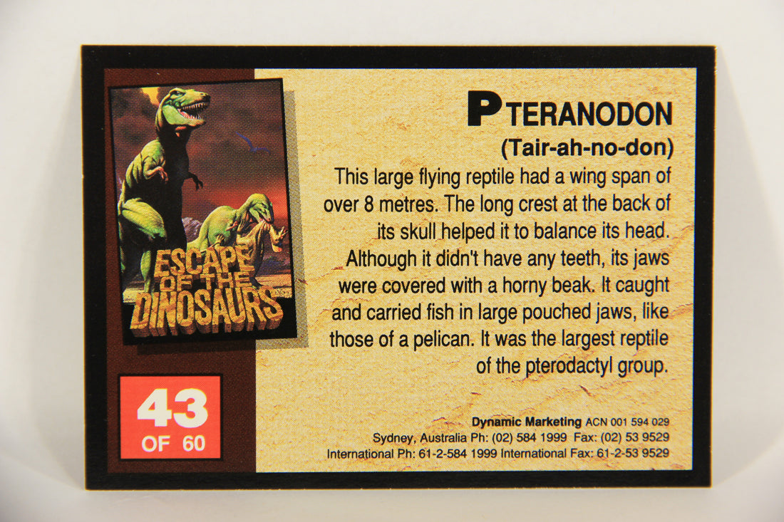 Escape Of The Dinosaurs 1993 Trading Card #43 Pteranodon ENG L017728