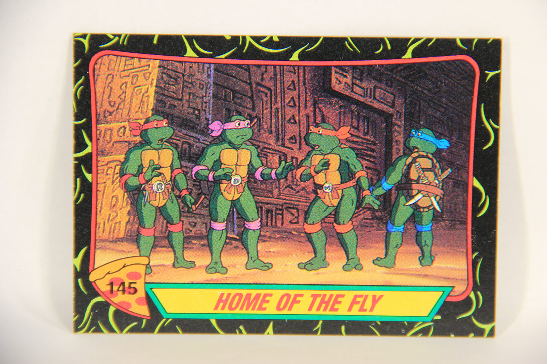 Teenage Mutant Ninja Turtles 2nd Series 1989 Trading Card #145 Home Of The Fly L017867