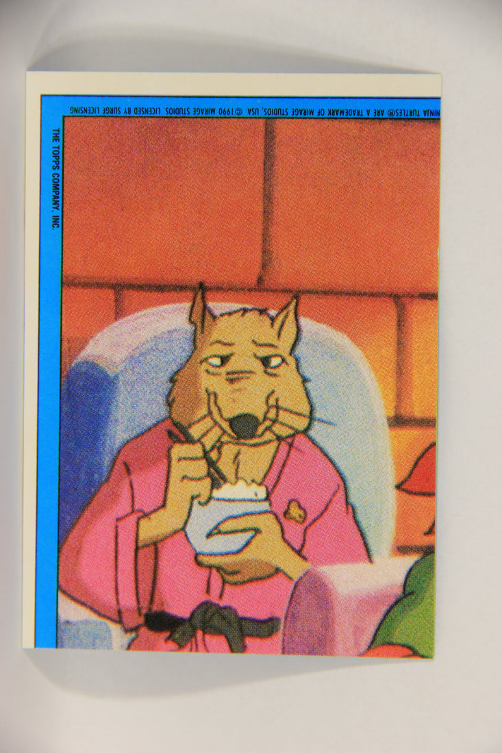 Teenage Mutant Ninja Turtles 2nd Series 1989 Card Sticker #7 Splinter L017906