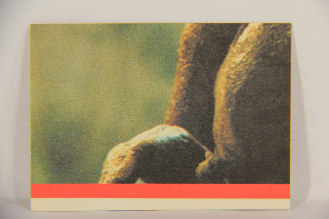 E.T. The Extra-Terrestrial 1982 Trading Card Sticker #6 E.T. And Elliot L018120