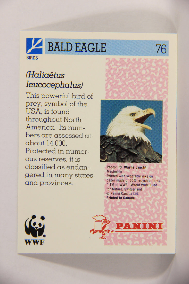 Wildlife In Danger WWF 1992 Trading Card #76 Bald Eagle ENG L018671