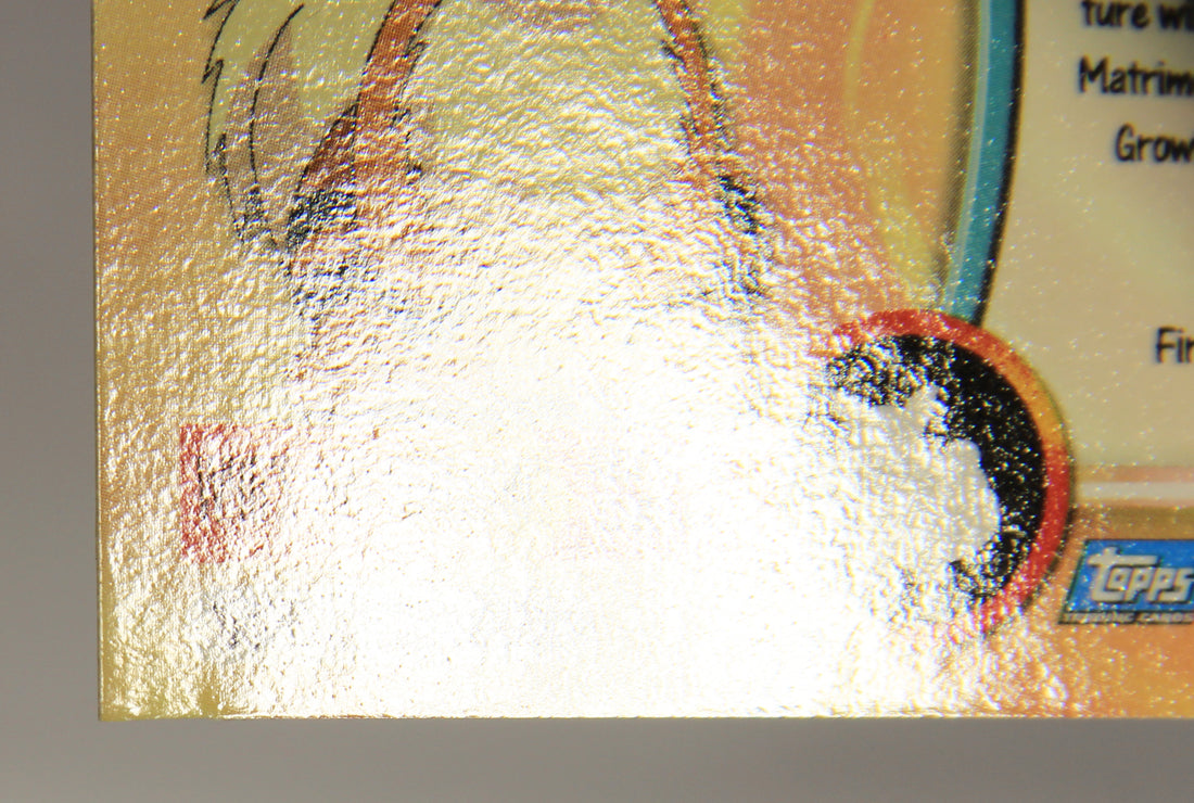 Pokémon Card Growlithe #58 TV Animation Blue Logo 1st Print ENG L019168