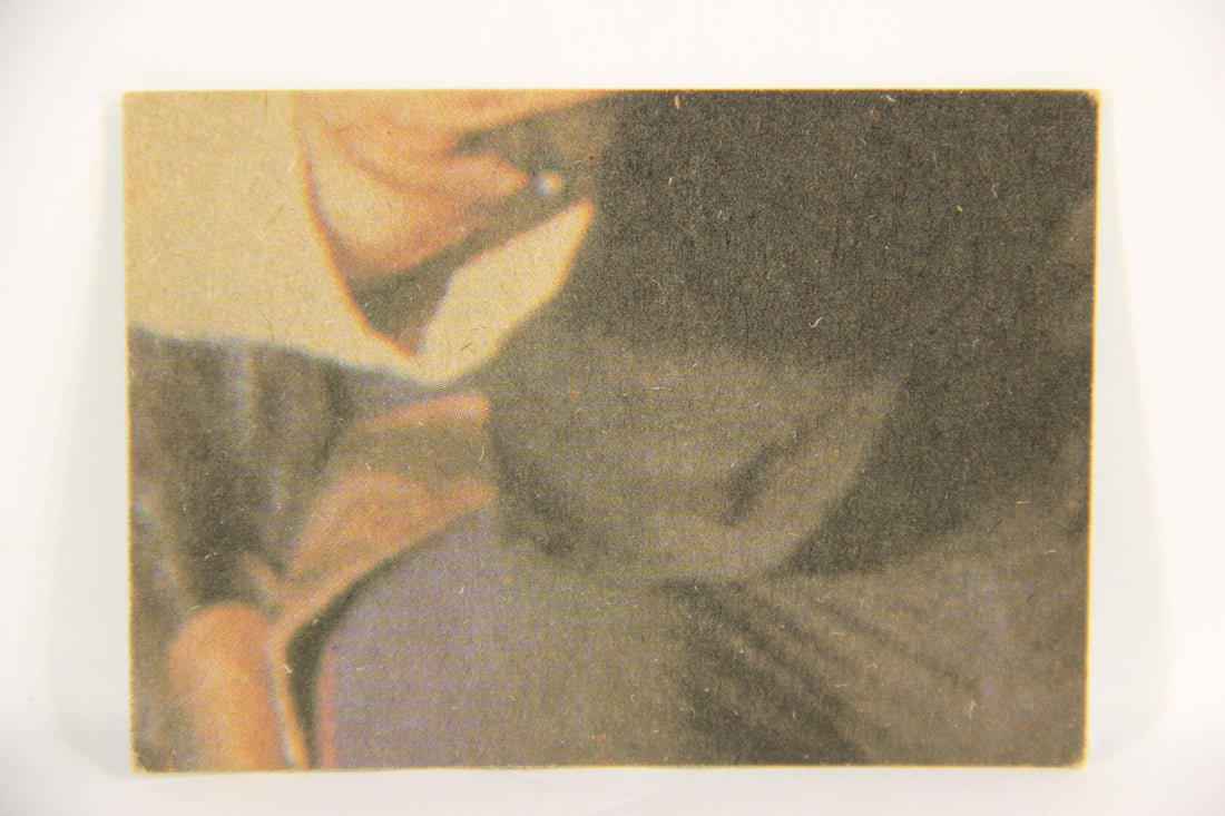 Star Wars 1977 Card #211 A Proud Moment For Han And Luke ENG Topps L019242