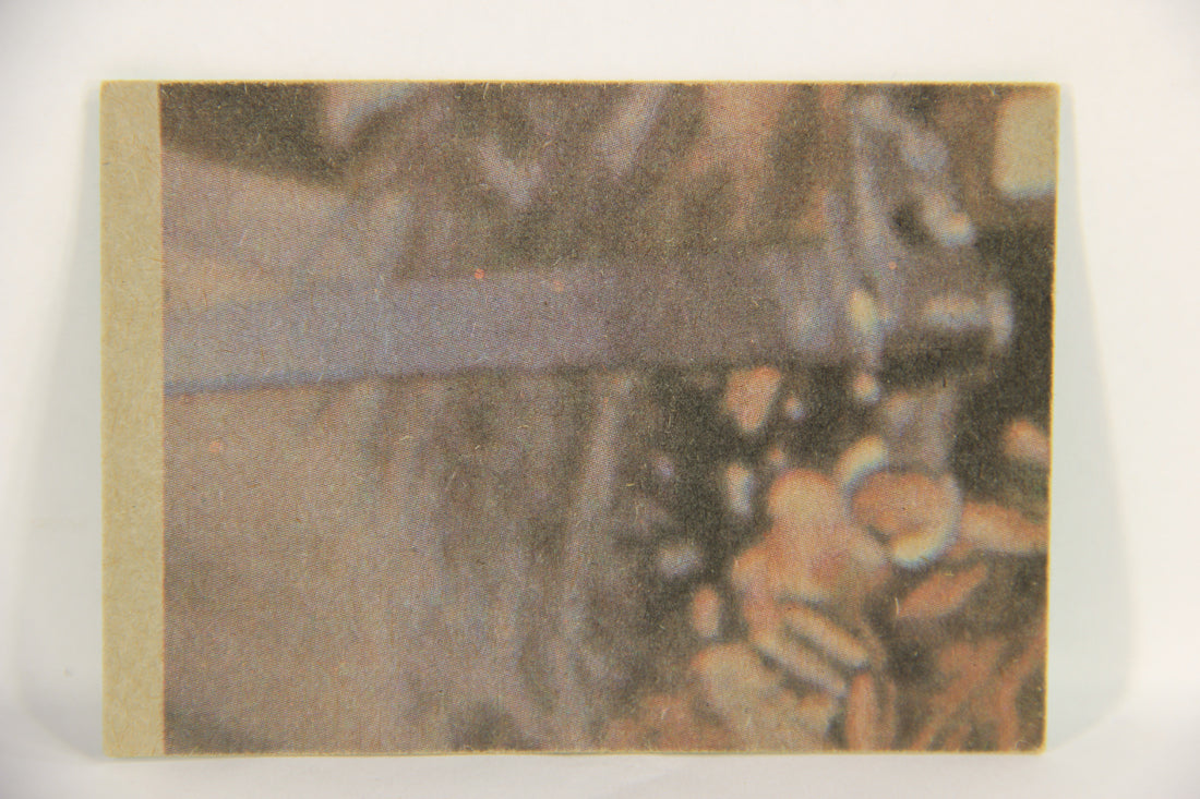 Star Wars 1977 Trading Card #221 Princess Leia (Carrie Fisher) ENG Topps L019246