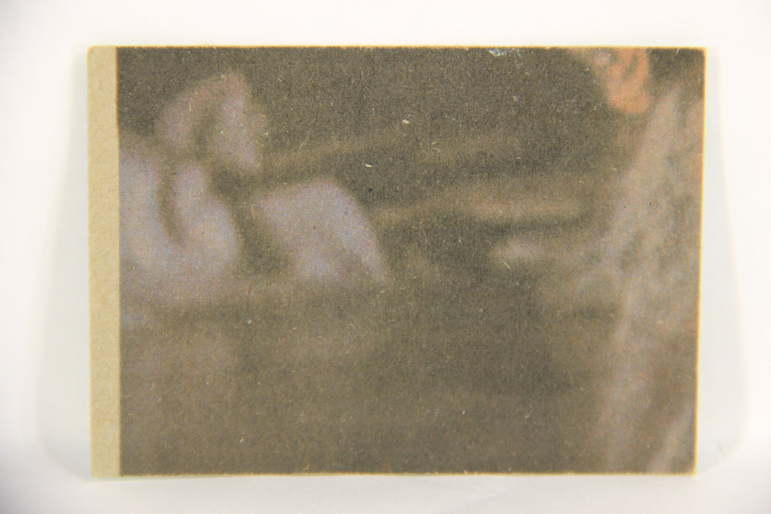 Star Wars 1977 Trading Card #224 Luke's Secret Yen For Action ENG Topps L019248