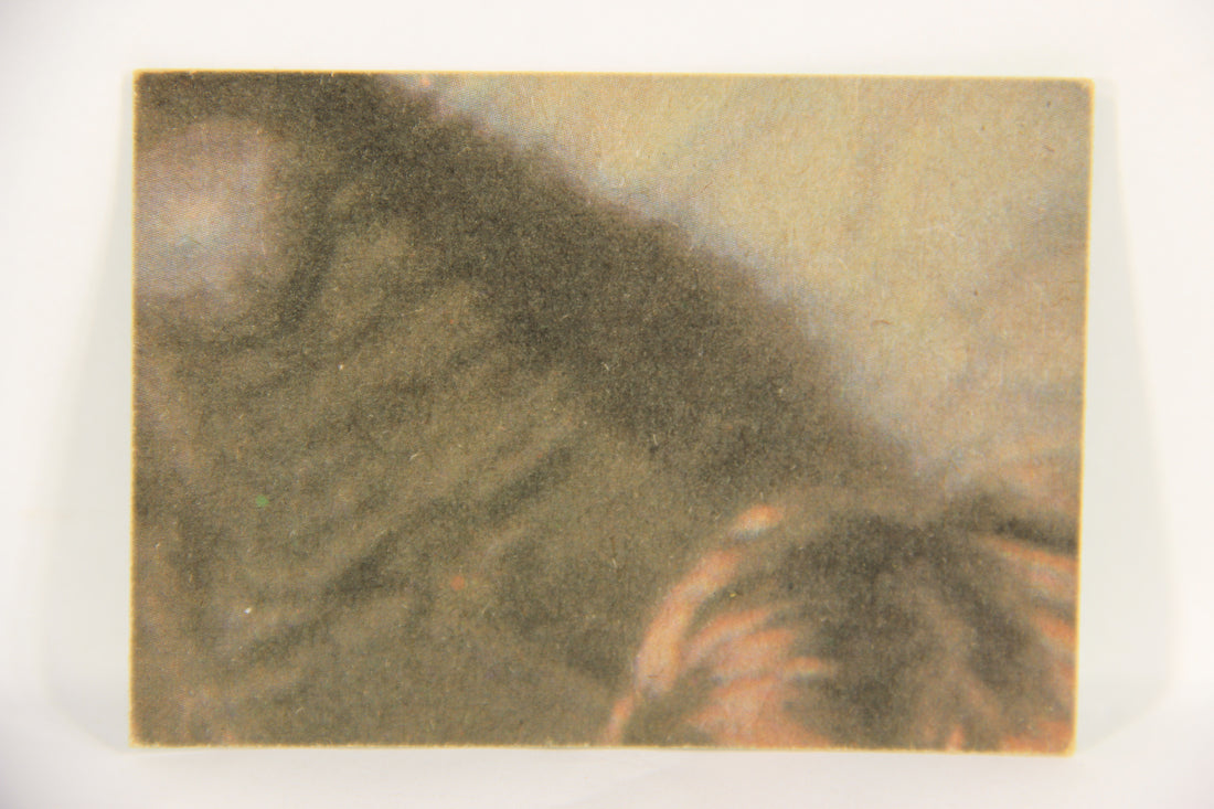 Star Wars 1977 Trading Card #226 Portrait Of A Princess ENG Topps L019250