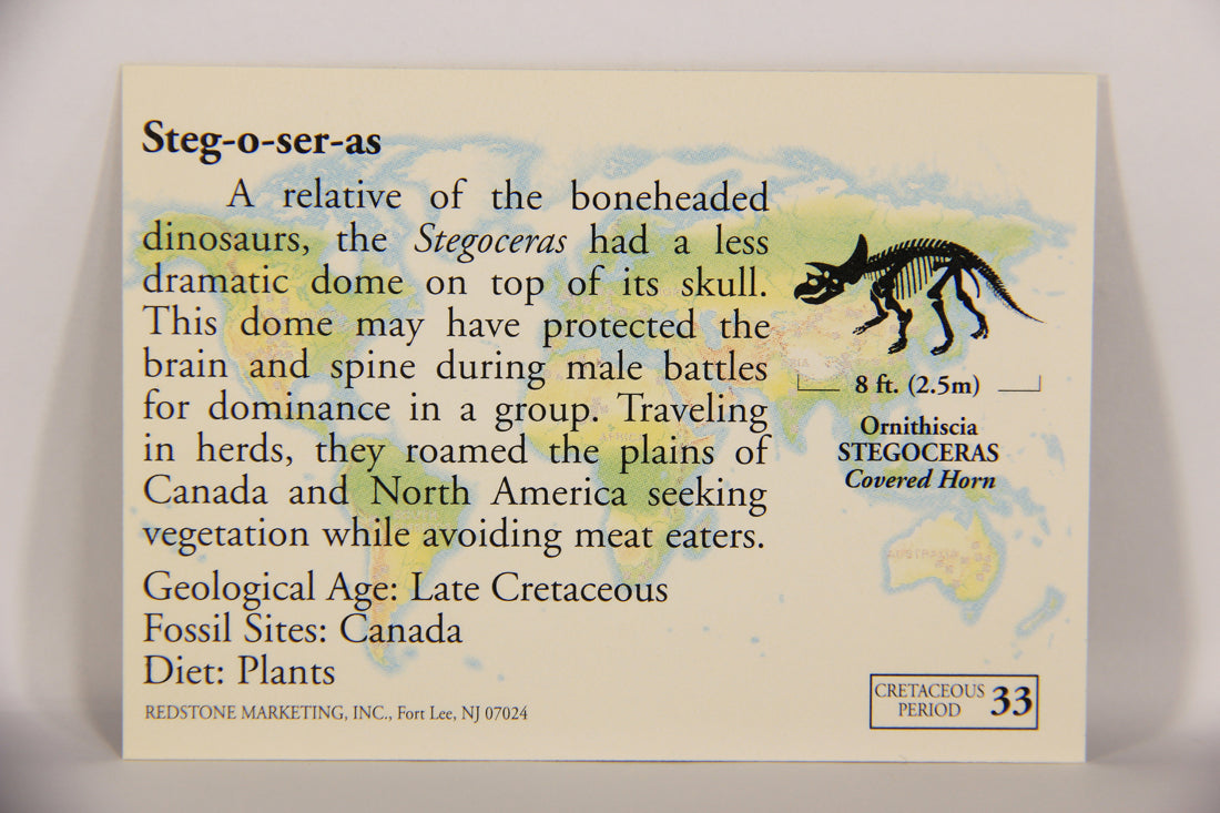 Dinosaurs The Mesozoic Era 1993 Vintage Trading Card #33 Stegoceras ENG L019773