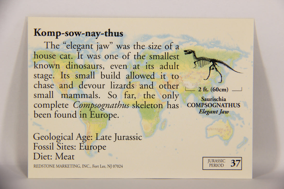 Dinosaurs The Mesozoic Era 1993 Vintage Trading Card #37 Compognathus ENG L019775