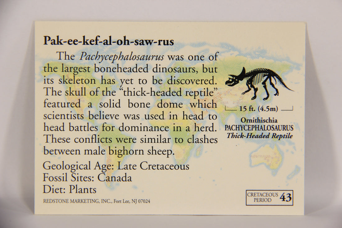 Dinosaurs The Mesozoic Era 1993 Vintage Trading Card #43 Pachycephalosaurus ENG L019776