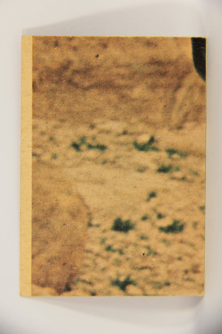 Star Wars 1977 Trading Card #125 Luke In disguise FR-ENG O-Pee-Chee OPC L019832