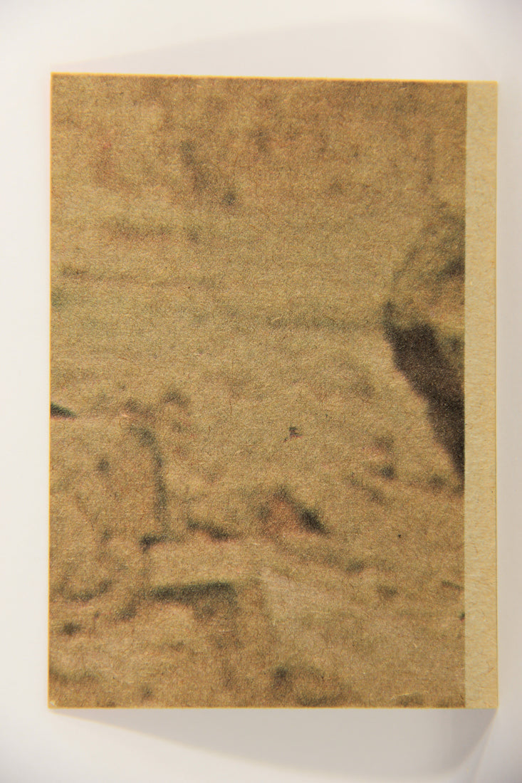 Star Wars 1977 Trading Card #115 Hiding In The Millennium Falcon ENG Topps L019919