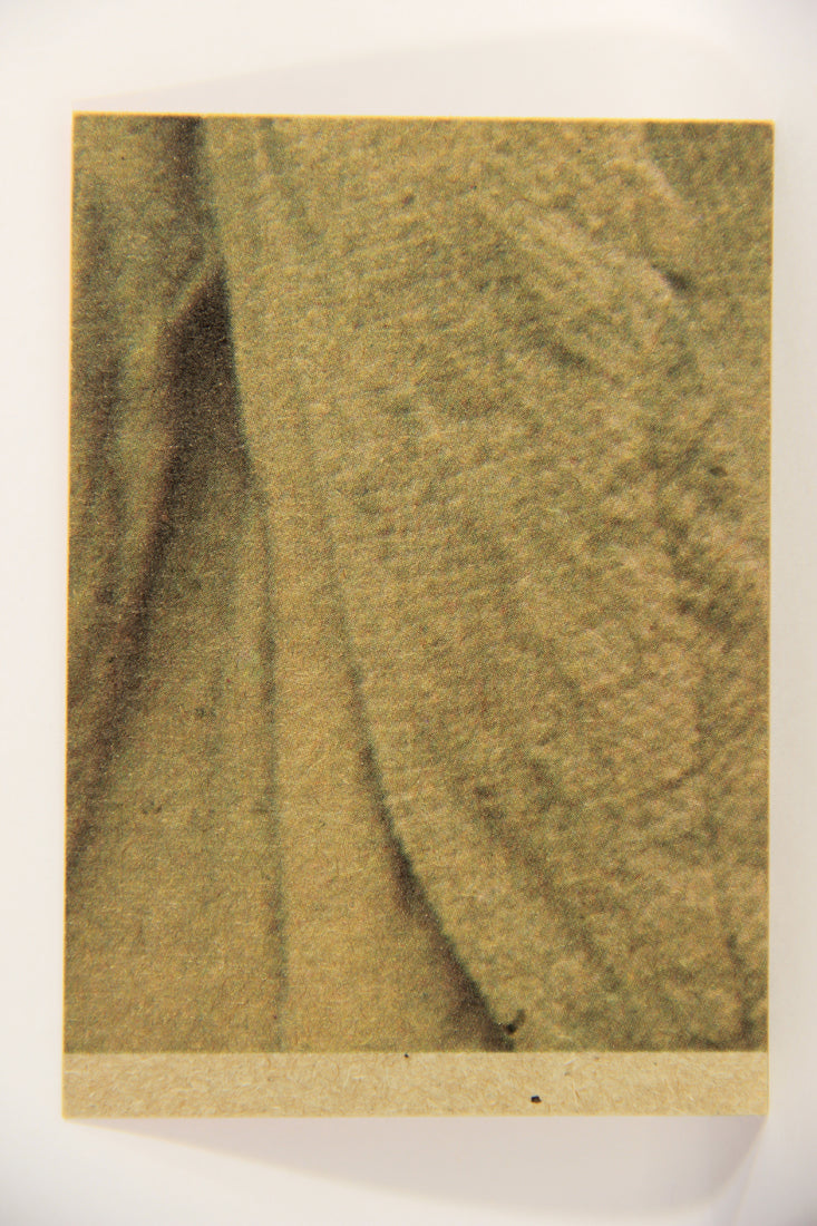 Star Wars 1977 Trading Card #121 Han Solo And Chewbacca ENG Topps L019922