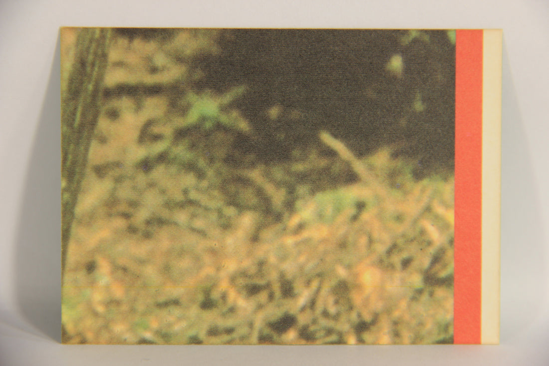 Star Wars ROTJ 1983 Sticker Trading Card #31 Princess Leia - Green - Topps L019949