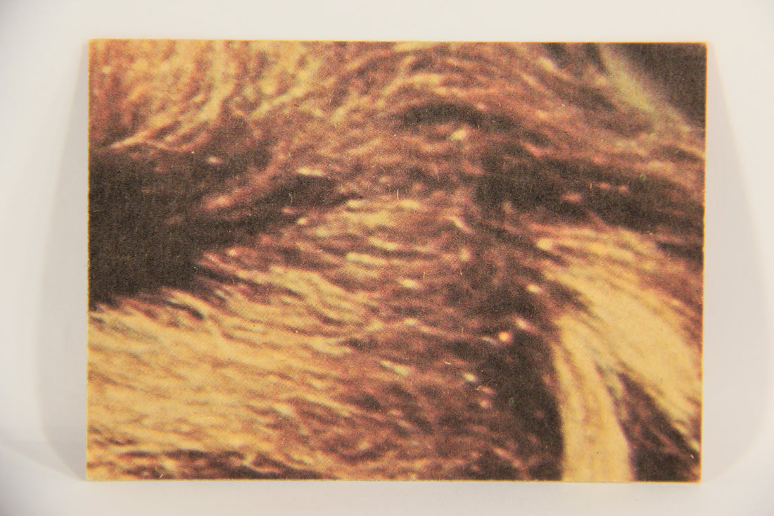 Star Wars 1977 Trading Card #119 Threepio Ben And Luke FR-ENG O-Pee-Chee L019971