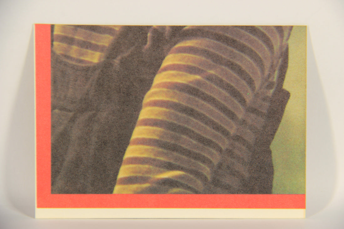 E.T. The Extra-Terrestrial 1982 Trading Card Sticker #3 E.T. Bundled Up L021055
