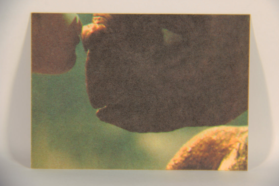 E.T. The Extra-Terrestrial 1982 Trading Card Sticker #5 An Alarmed E.T. L021057