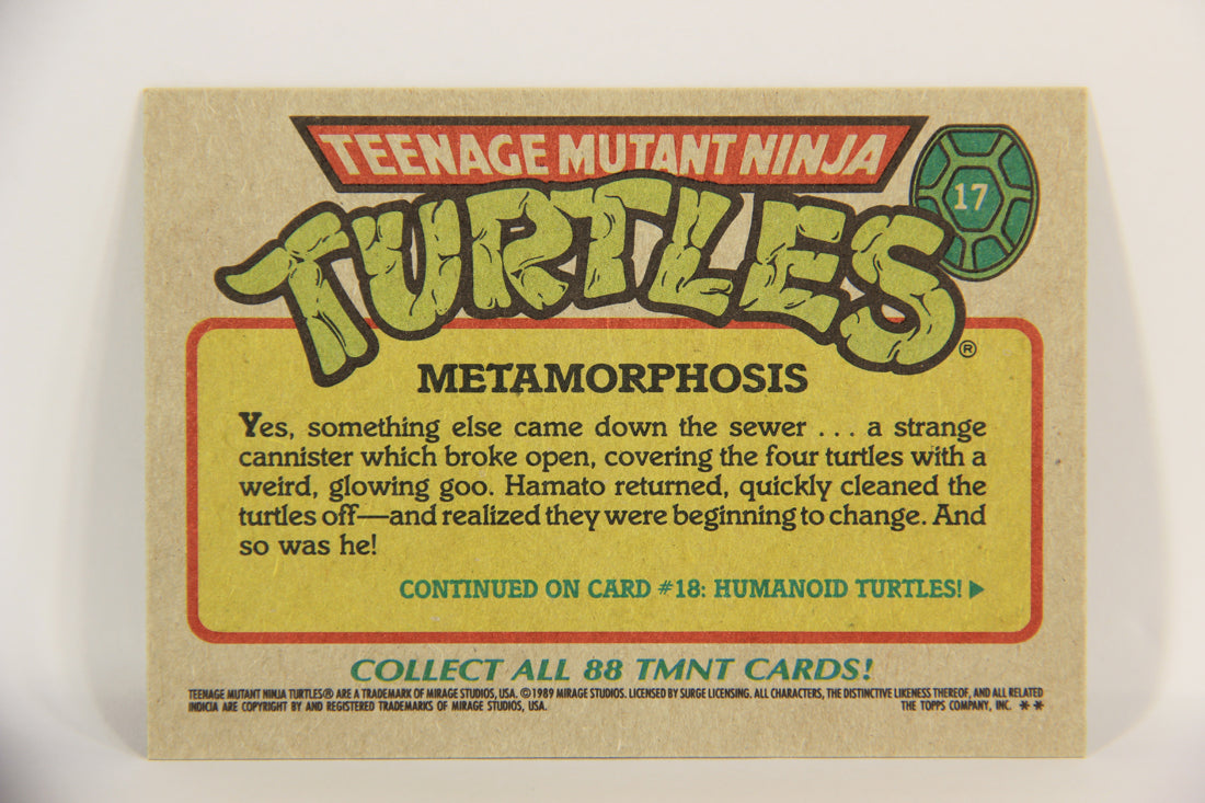 Teenage Mutant Ninja Turtles 1989 Trading Card #17 Metamorphosis ENG L021859