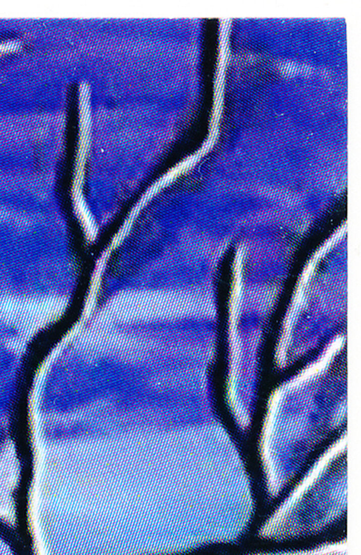 Shadow Life By Artist JOB Art Print Blank Greeting Card Artwork L012503