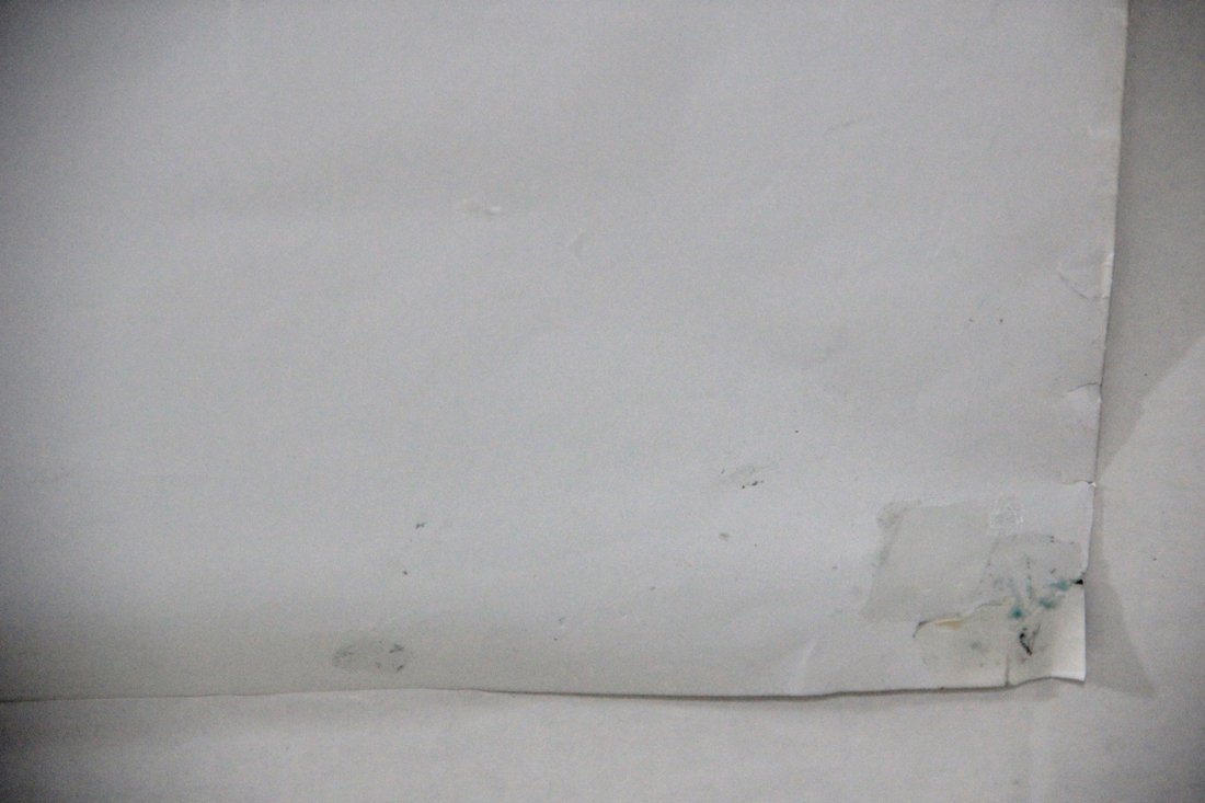 Une Jeune Fille À La Fenêtre 2001 Movie Poster Rolled 27 x 39 Francis Leclerc L015805