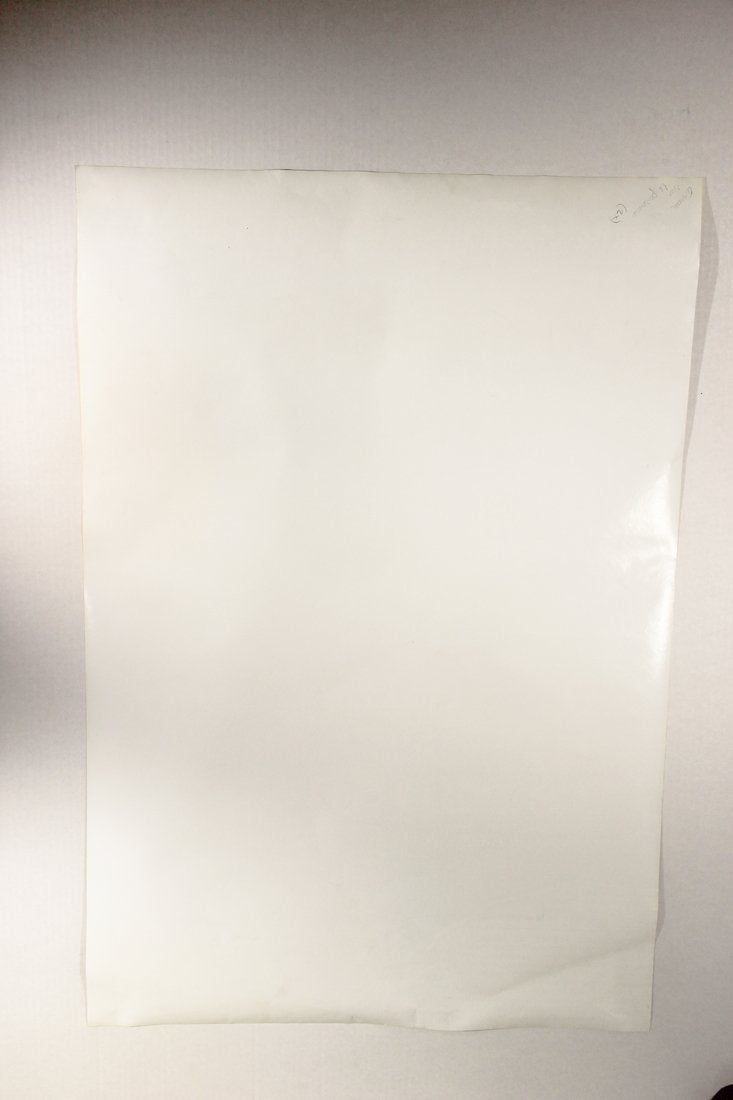 Erreur Sur La personne 1996 Movie Poster Rolled 27 x 39 Canada Michel Côté L015816