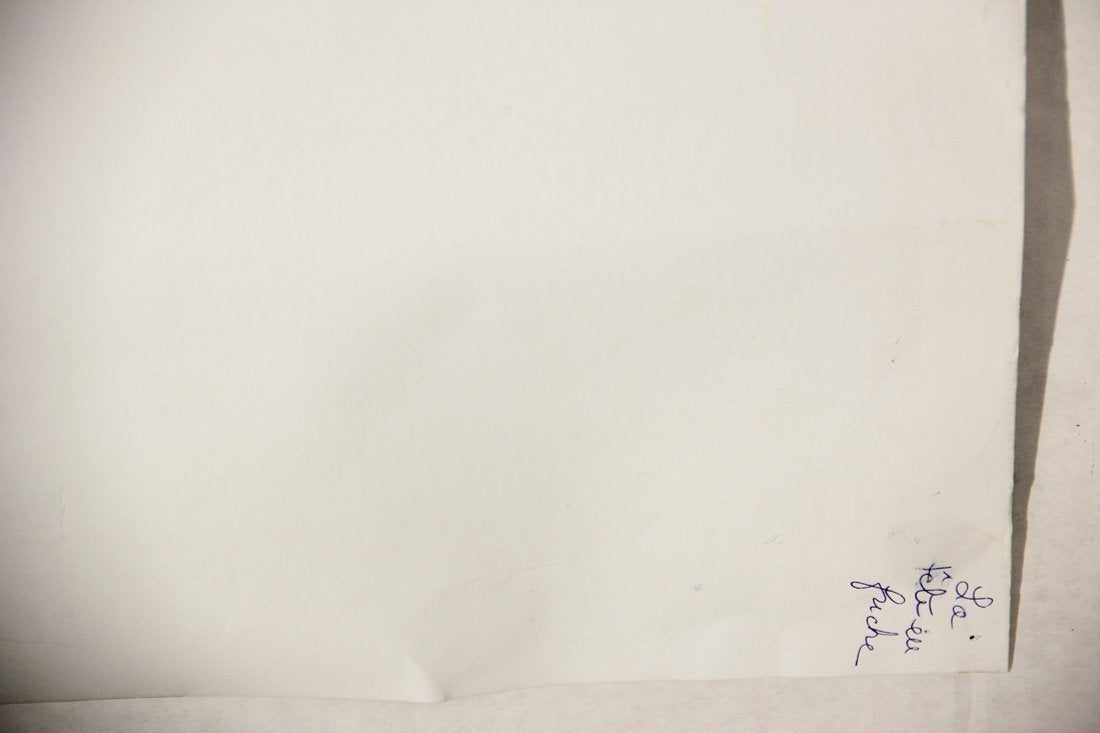 La Tête En Friche 2010 Movie Poster Rolled 27 x 39 Affiche Becker Gérard Depardieu L015847