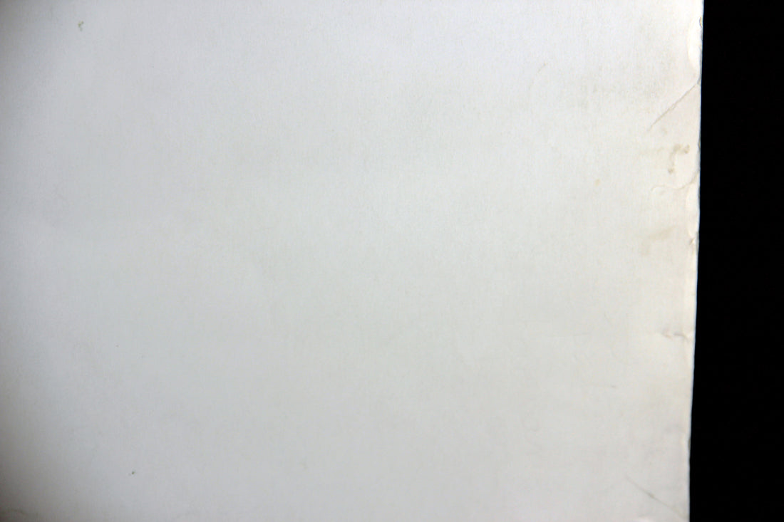 Les Portes Tournantes 1988 Movie Poster Rolled 27 x 38 Affiche Cinéma Miou-Miou L015885