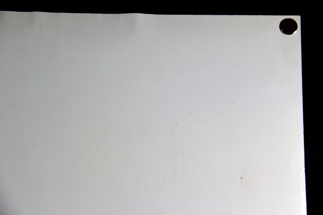 Le Derrière 1999 Movie Poster Rolled 27 x 39 Affiche Cinéma Valérie Lemercier L015902