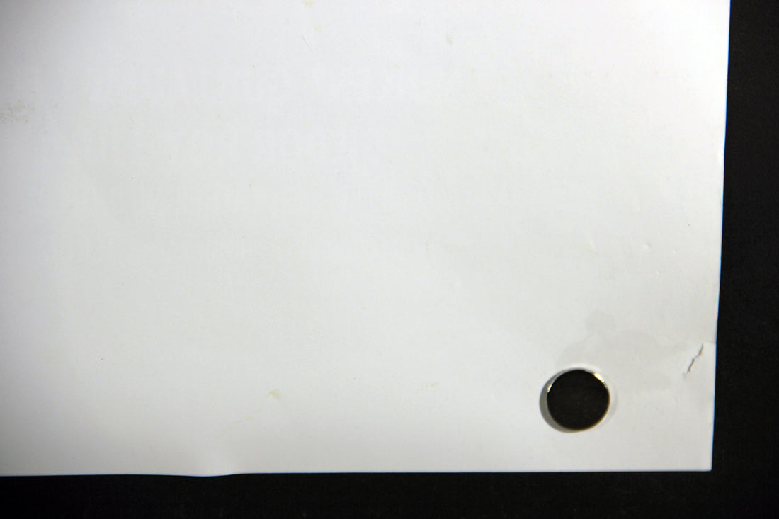 Babine 2008 Movie Poster Rolled 27 x 39 Affiche Cinema Canada Luc Picard L015915