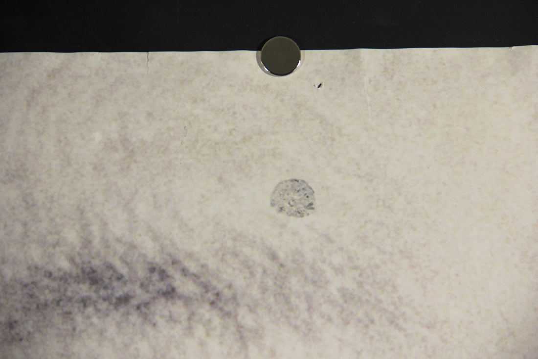 The Queen 2006 Double Sided Movie Poster Rolled 27 x 40 Affiche Helen Mirren L015916