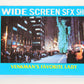 Ghostbusters II 1989 Trading Card #74 Venkman's Favorite Lady L002805