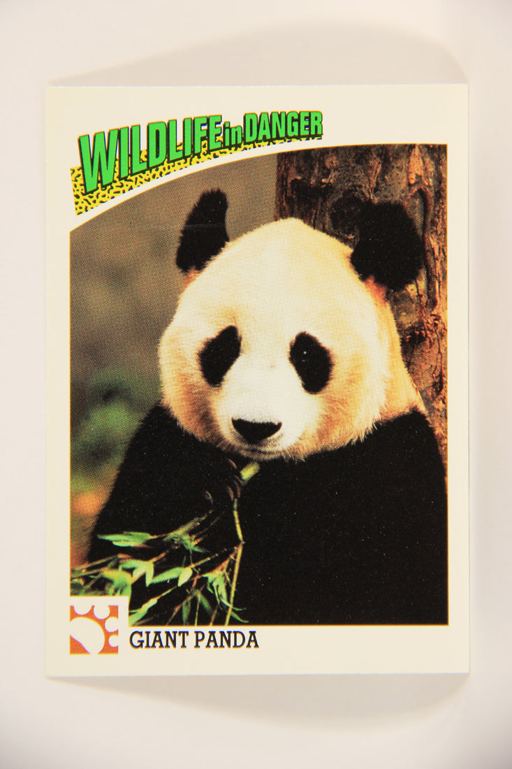Wildlife In Danger WWF 1992 Trading Card #2 Giant Panda ENG L004542
