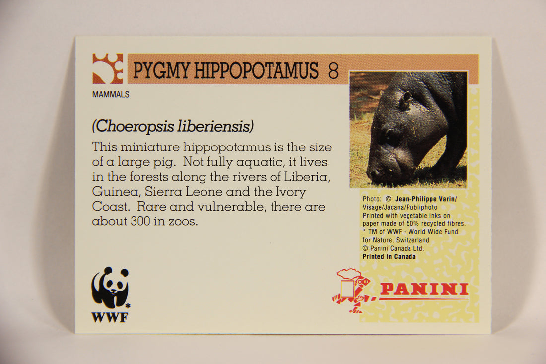 Wildlife In Danger WWF 1992 Trading Card #8 Pygmy Hippopotamus ENG L004546