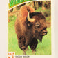 Wildlife In Danger WWF 1992 Trading Card #9 Wood Bison ENG L004547