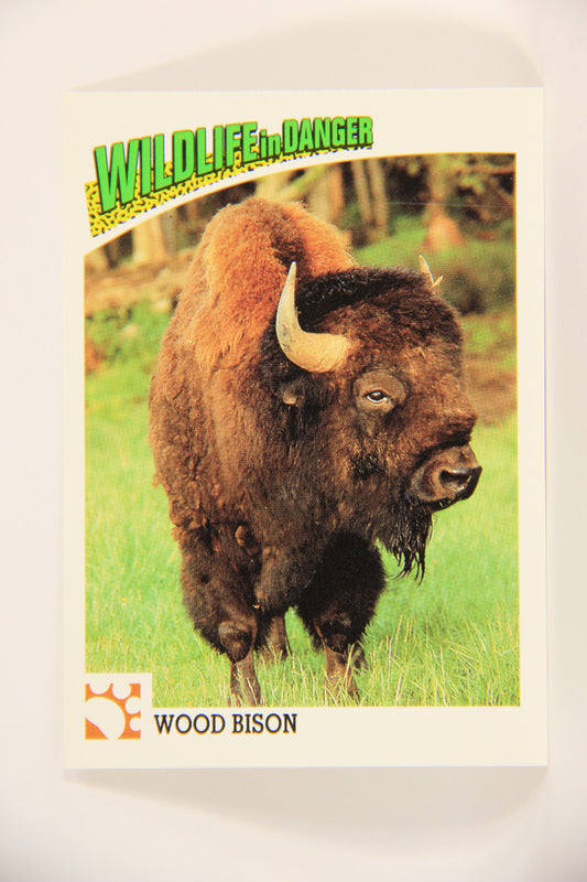 Wildlife In Danger WWF 1992 Trading Card #9 Wood Bison ENG L004547