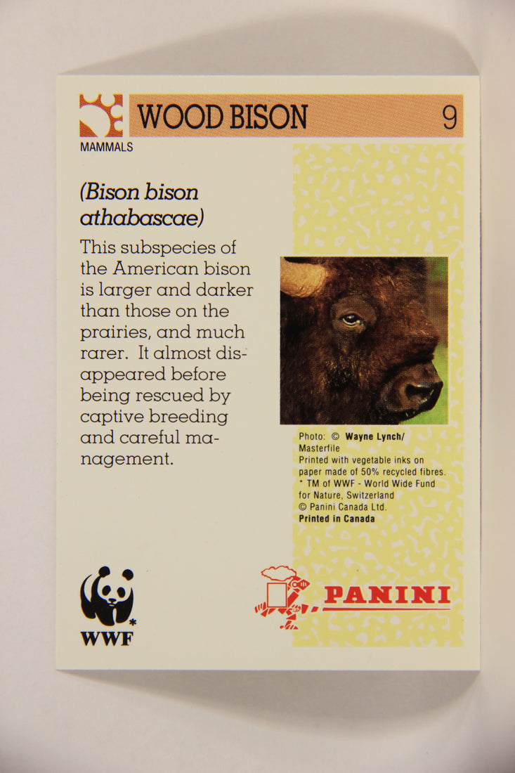 Wildlife In Danger WWF 1992 Trading Card #9 Wood Bison ENG L004547