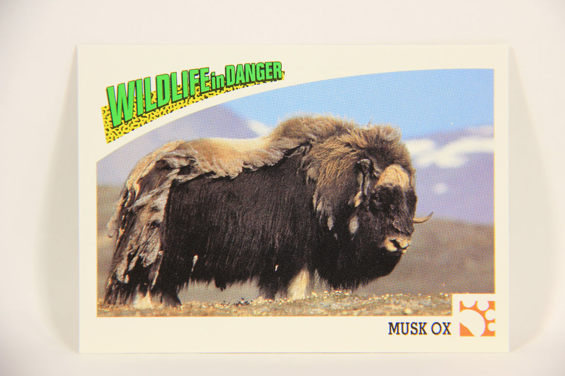 Wildlife In Danger WWF 1992 Trading Card #10 Musk Ox ENG L004548