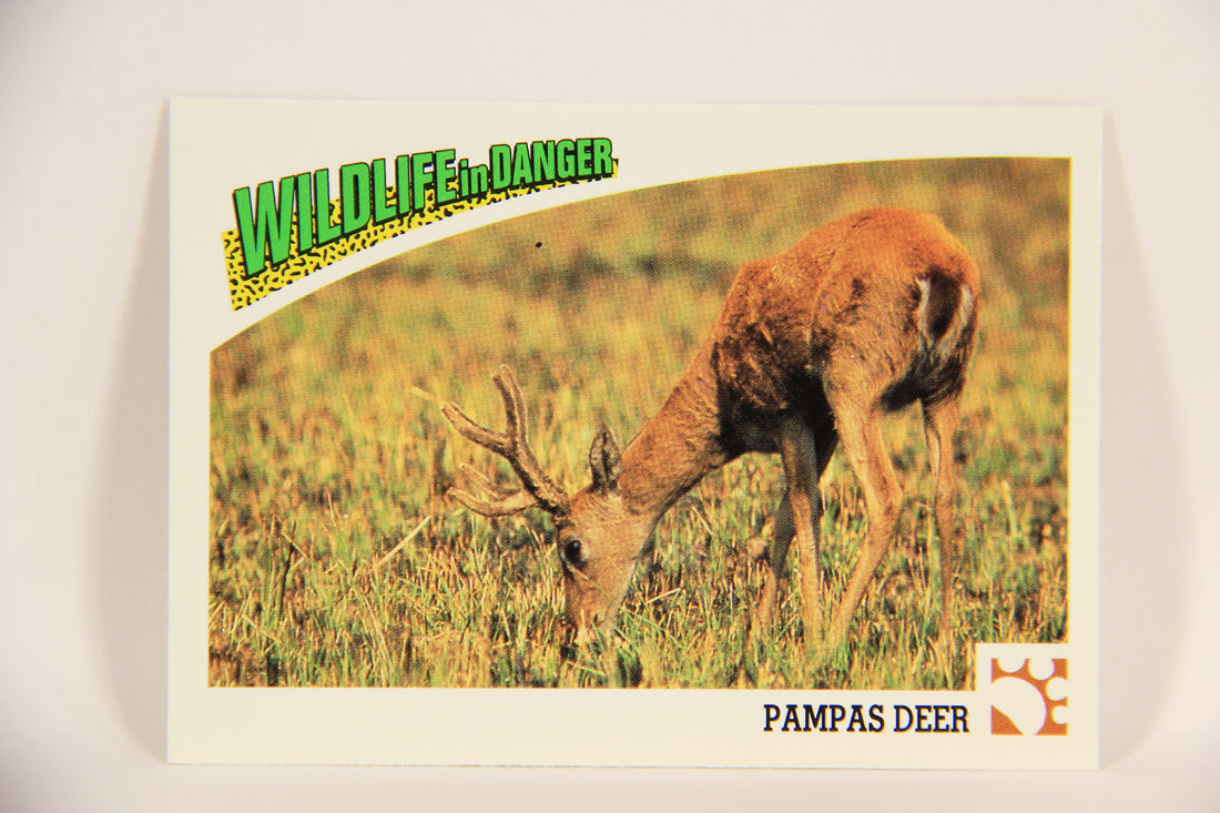 Wildlife In Danger WWF 1992 Trading Card #11 Pampas Deer ENG L004549