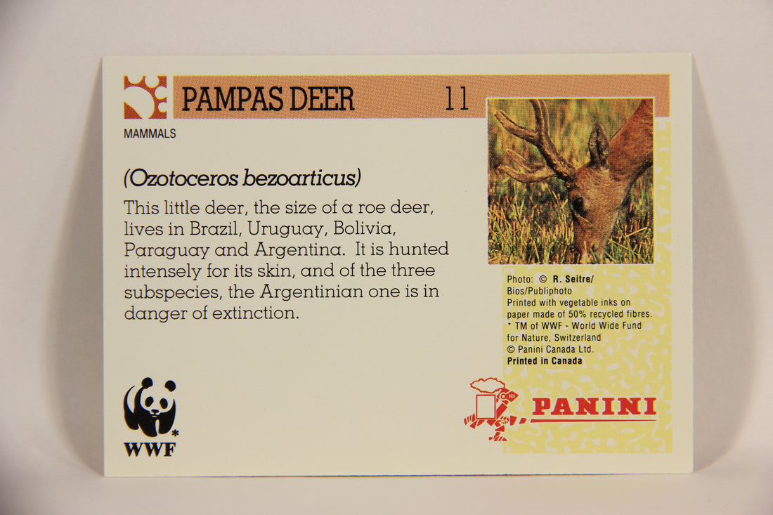 Wildlife In Danger WWF 1992 Trading Card #11 Pampas Deer ENG L004549