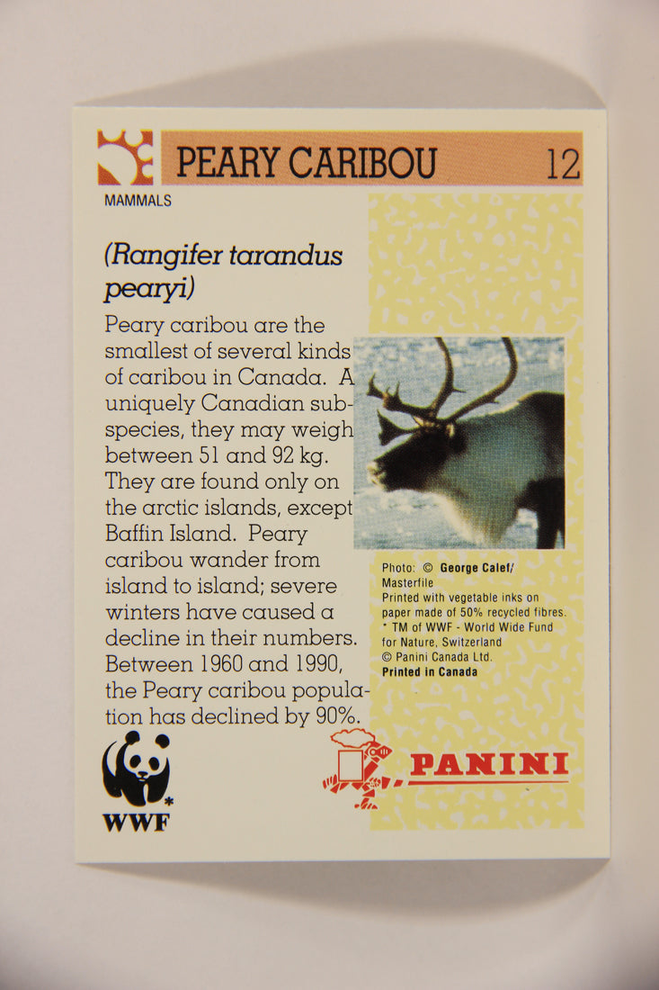 Wildlife In Danger WWF 1992 Trading Card #12 Peary Caribou ENG L004550