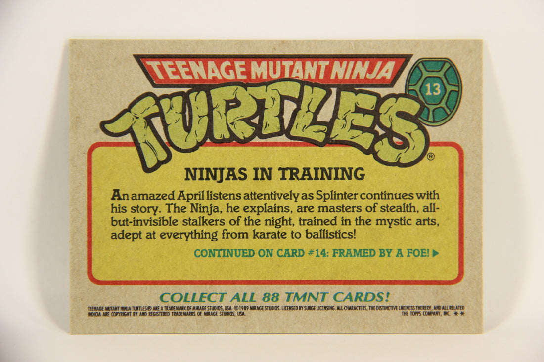 Teenage Mutant Ninja Turtles 1989 Trading Card #13 Ninjas In Training ENG L004598