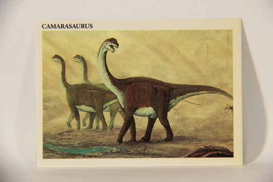 Dinosaurs The Mesozoic Era 1993 Vintage Trading Card #3 Camarasaurus ENG L011296