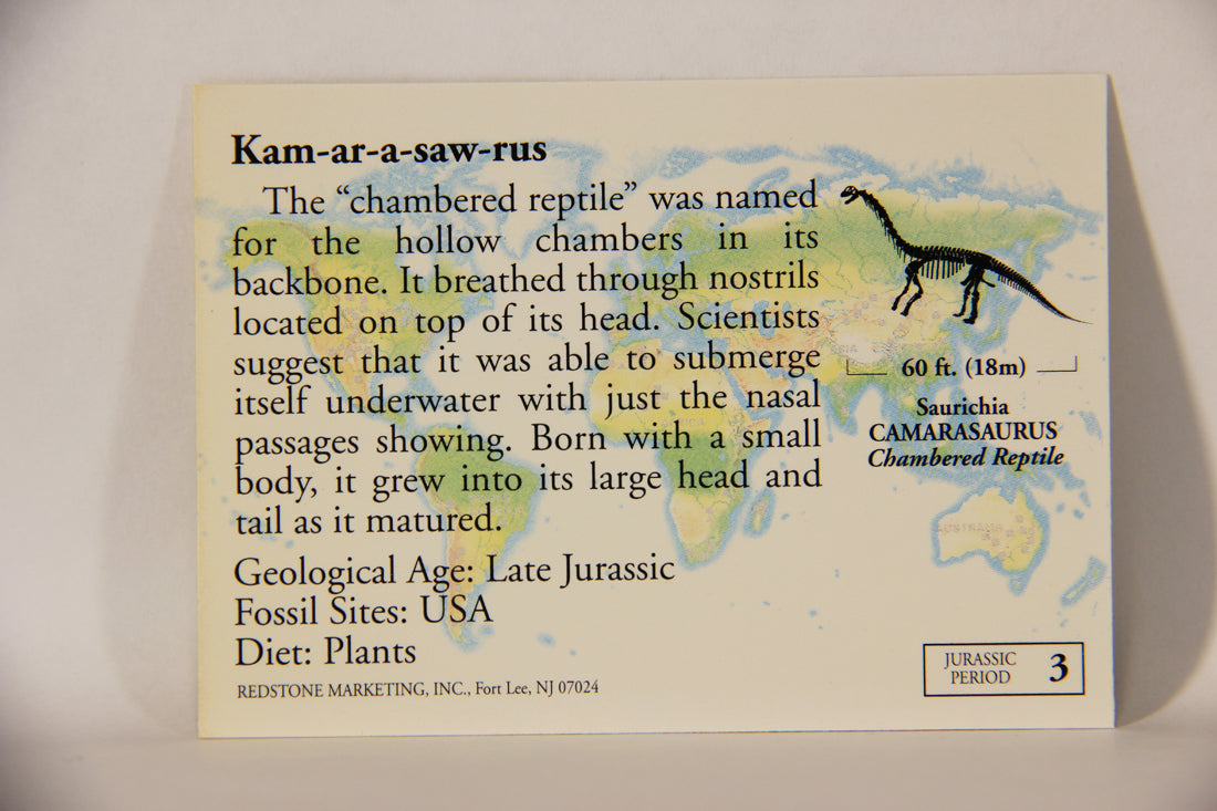 Dinosaurs The Mesozoic Era 1993 Vintage Trading Card #3 Camarasaurus ENG L011296