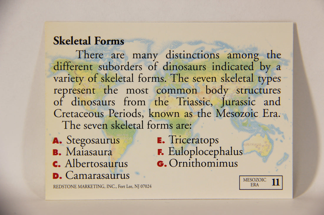 Dinosaurs The Mesozoic Era 1993 Vintage Trading Card #11 Skeletal Forms ENG L011304