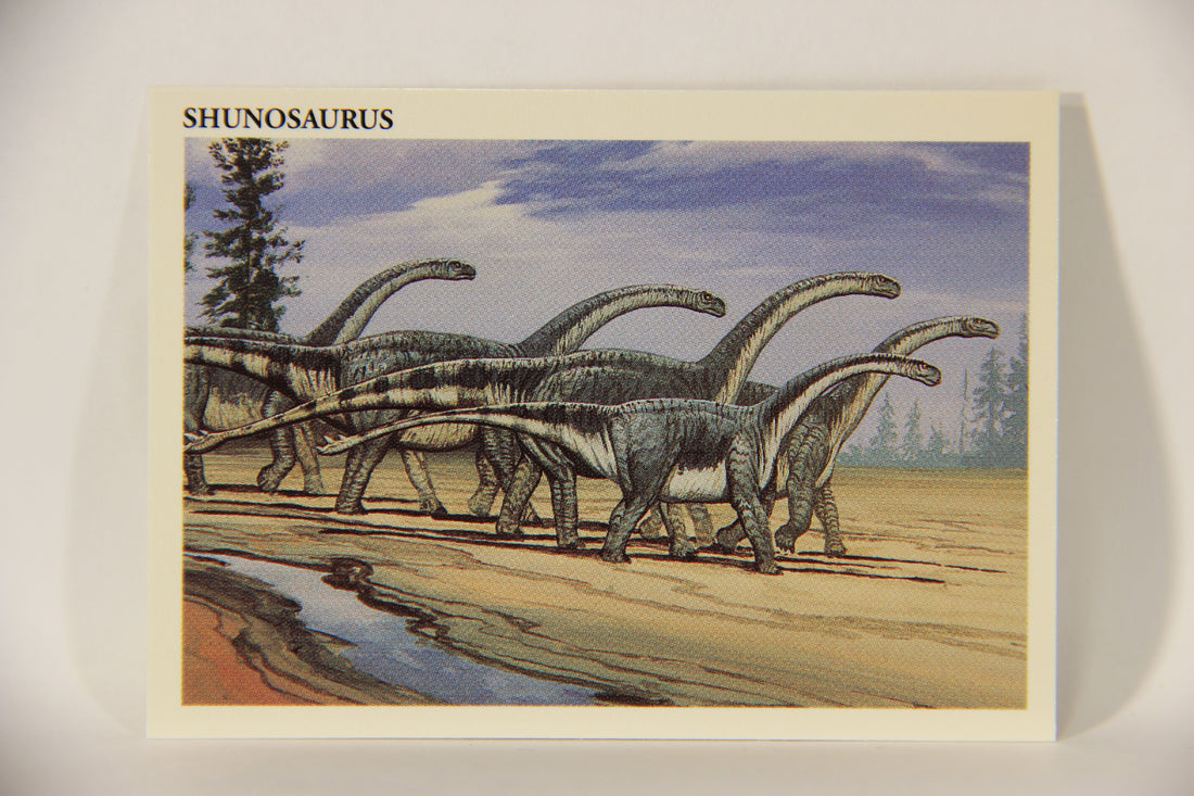 Dinosaurs The Mesozoic Era 1993 Vintage Trading Card #13 Shunosaurus ENG L011306