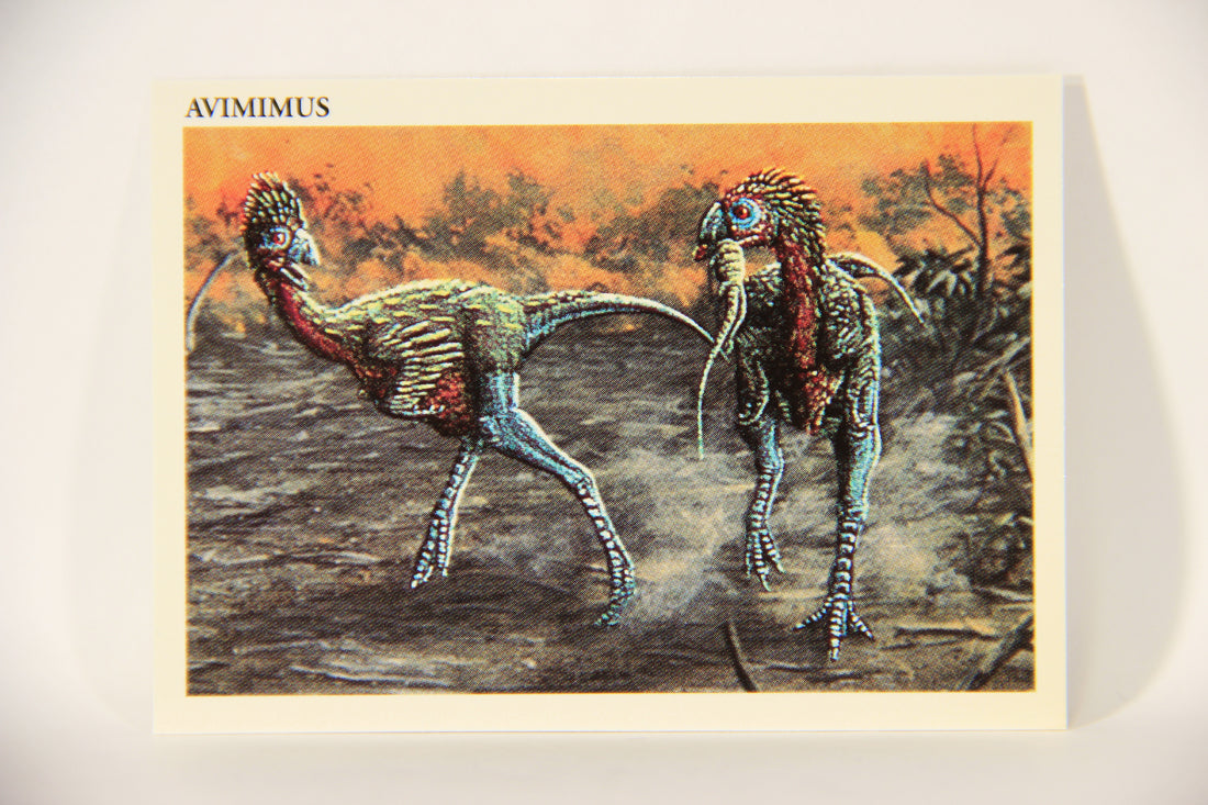 Dinosaurs The Mesozoic Era 1993 Vintage Trading Card #15 Avimimus ENG L011308