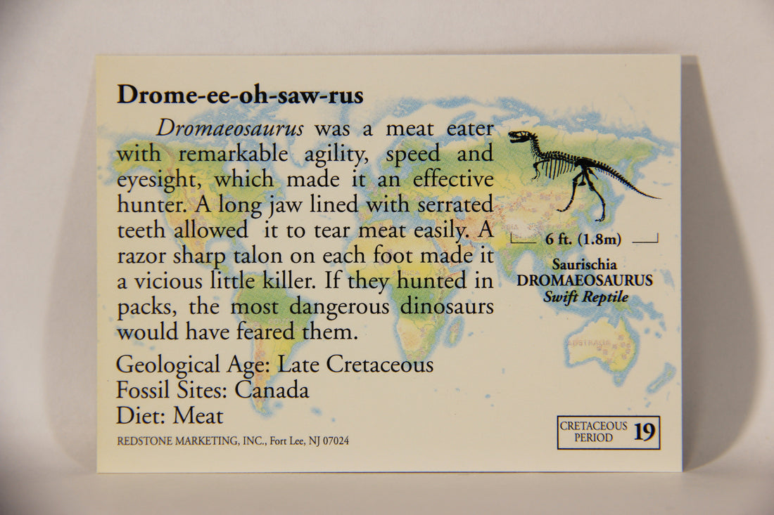 Dinosaurs The Mesozoic Era 1993 Vintage Trading Card #19 Dromaeosaurus ENG L011312