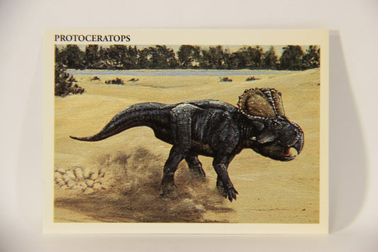 Dinosaurs The Mesozoic Era 1993 Vintage Trading Card #20 Protoceratops ENG L011313